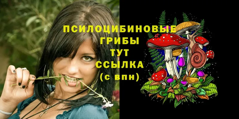 darknet состав  Ахтубинск  Псилоцибиновые грибы Cubensis 